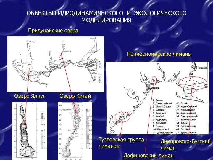 ОБЪЕКТЫ ГИДРОДИНАМИЧЕСКОГО И ЭКОЛОГИЧЕСКОГО МОДЕЛИРОВАНИЯ Озеро Китай Причерноморские лиманы Придунайские озера