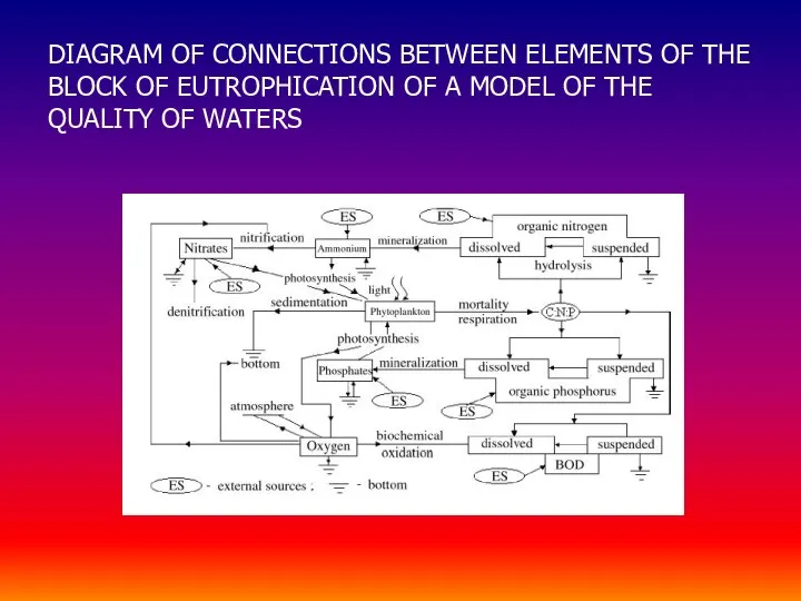 DIAGRAM OF CONNECTIONS BETWEEN ELEMENTS OF THE BLOCK OF EUTROPHICATION OF