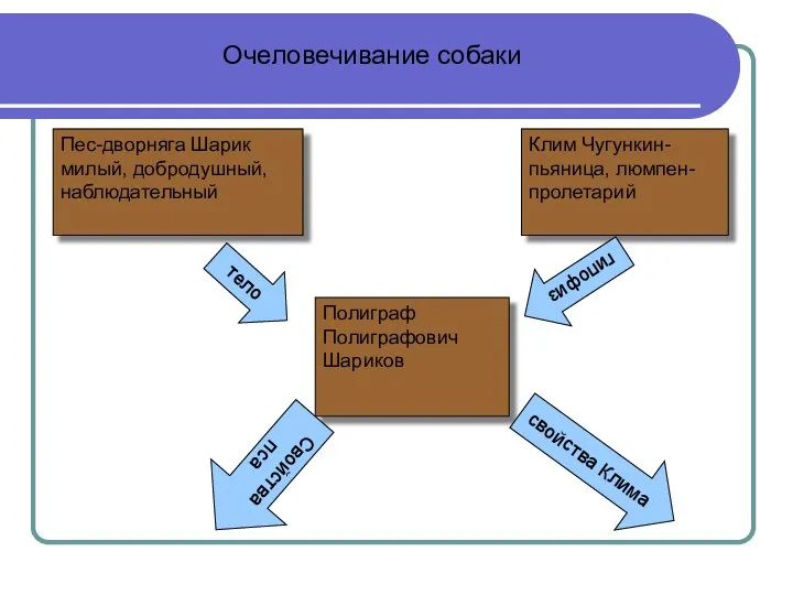Клим Чугункин- пьяница, люмпен-пролетарий Пес-дворняга Шарик милый, добродушный, наблюдательный Полиграф Полиграфович
