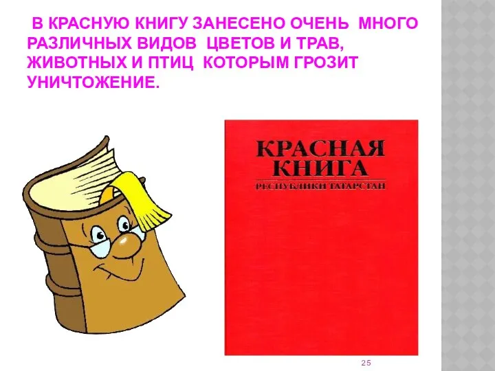 В Красную книгу занесено очень много различных видов цветов и трав,