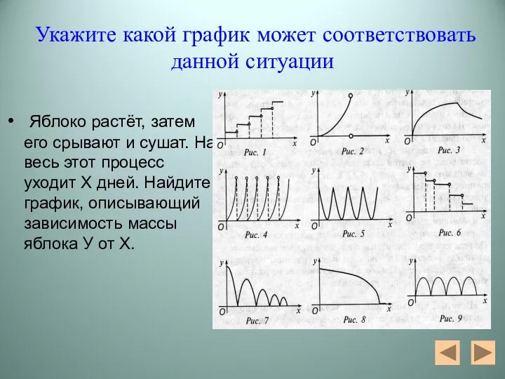 Укажите какой график может соответствовать данной ситуации Яблоко растёт, затем его