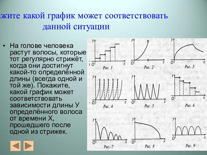 Укажите какой график может соответствовать данной ситуации На голове человека растут