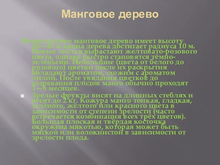 Манговое дерево Вечнозелёное манговое дерево имеет высоту 10—45 м крона дерева