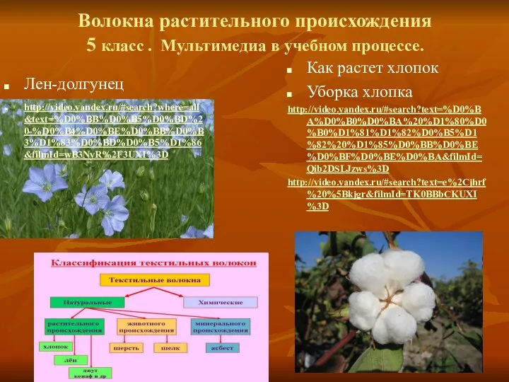 Волокна растительного происхождения 5 класс . Мультимедиа в учебном процессе. Как