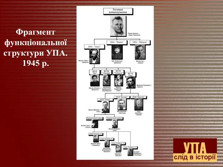 Фрагмент функціональної структури УПА. 1945 р.