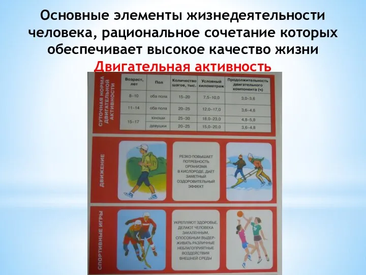 Основные элементы жизнедеятельности человека, рациональное сочетание которых обеспечивает высокое качество жизни Двигательная активность