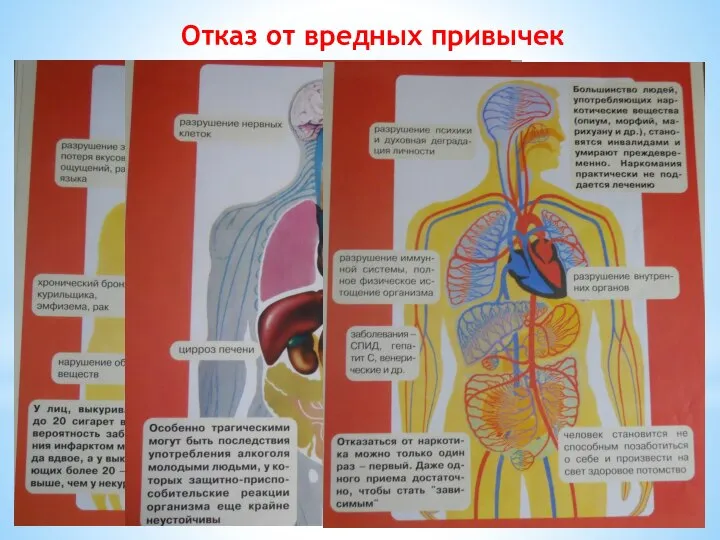 Отказ от вредных привычек