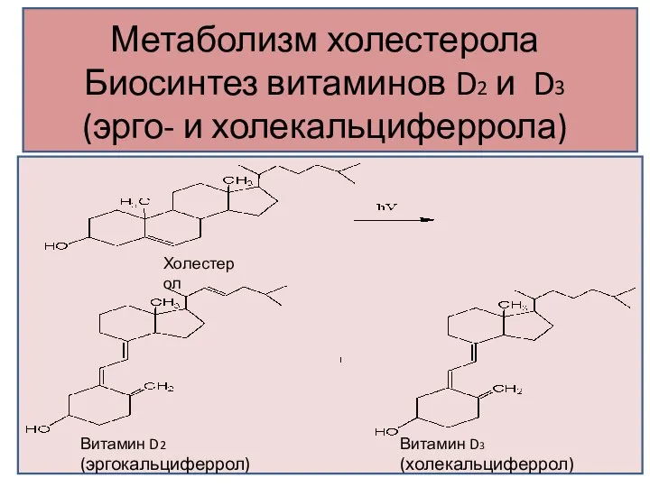 Метаболизм холестерола Биосинтез витаминов D2 и D3 (эрго- и холекальциферрола) Витамин