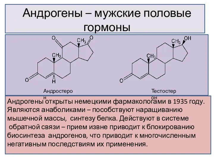 Андрогены – мужские половые гормоны Андростерон Тестостерон Андрогены открыты немецкими фармакологами