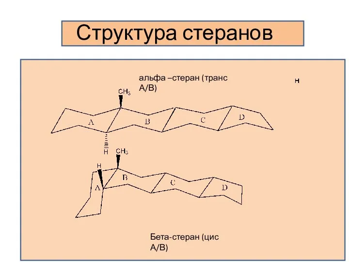 Структура стеранов альфа –стеран (транс А/В) Бета-стеран (цис А/В)