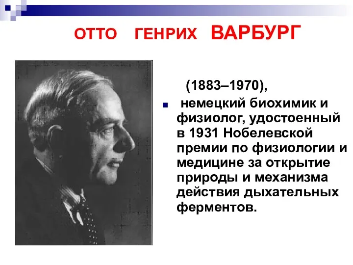 ОТТО ГЕНРИХ ВАРБУРГ (1883–1970), немецкий биохимик и физиолог, удостоенный в 1931