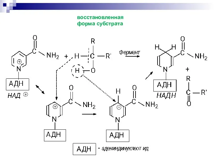 восстановленная форма субстрата