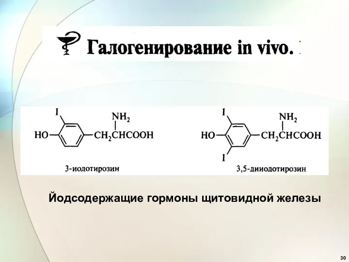 Йодсодержащие гормоны щитовидной железы