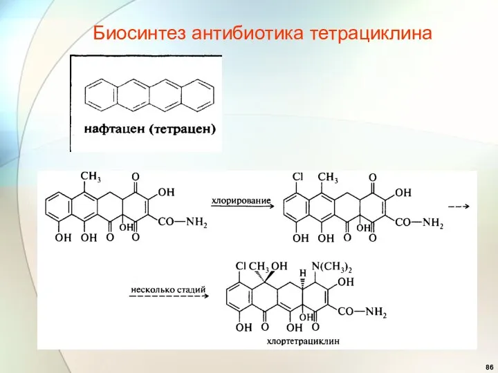 Биосинтез антибиотика тетрациклина