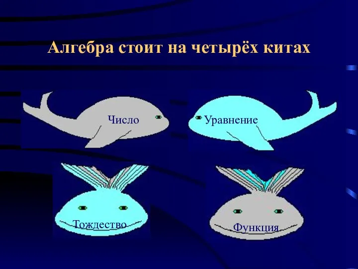 Алгебра стоит на четырёх китах Число Уравнение Тождество Функция