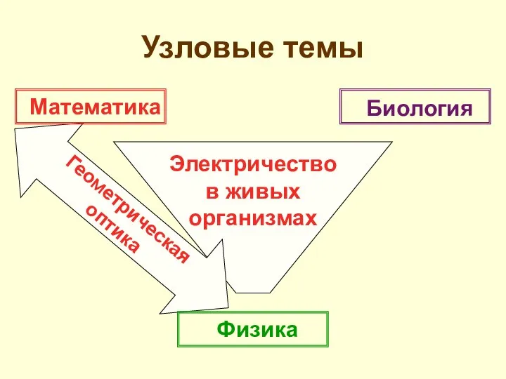 Электричество в живых организмах Геометрическая оптика Узловые темы Математика Биология Физика