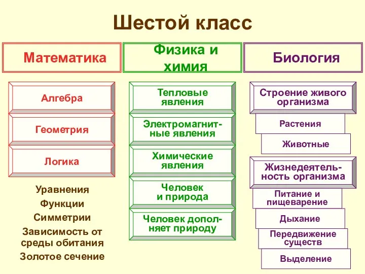 Шестой класс Уравнения Функции Симметрии Зависимость от среды обитания Золотое сечение