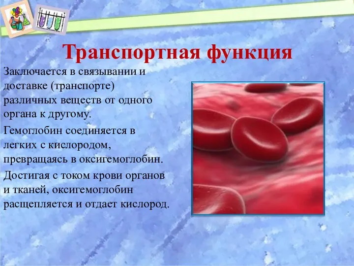 Транспортная функция Заключается в связывании и доставке (транспорте) различных веществ от