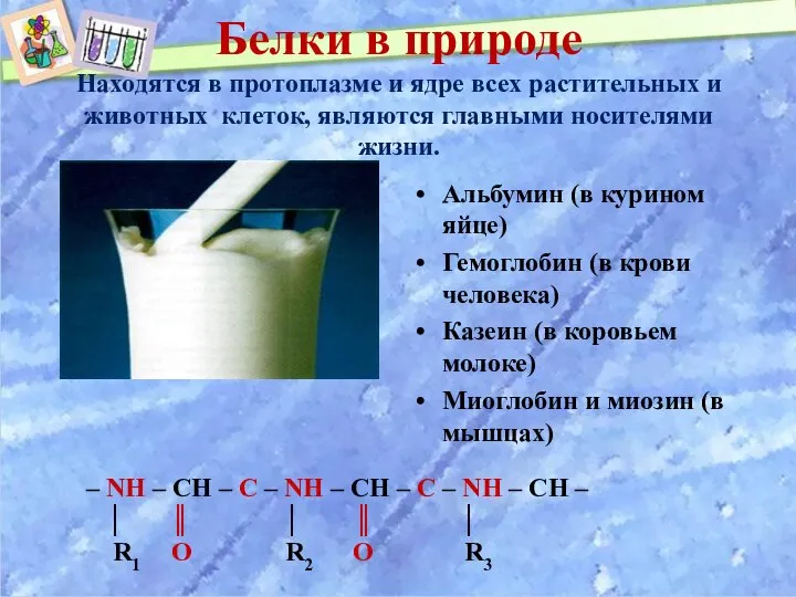 Белки в природе Находятся в протоплазме и ядре всех растительных и