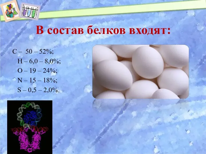 В состав белков входят: С – 50 – 52%; Н –