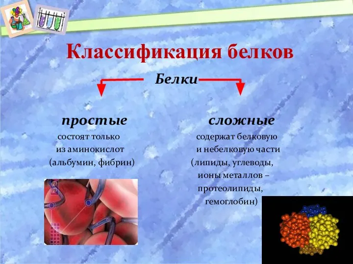 Классификация белков Белки простые сложные состоят только содержат белковую из аминокислот