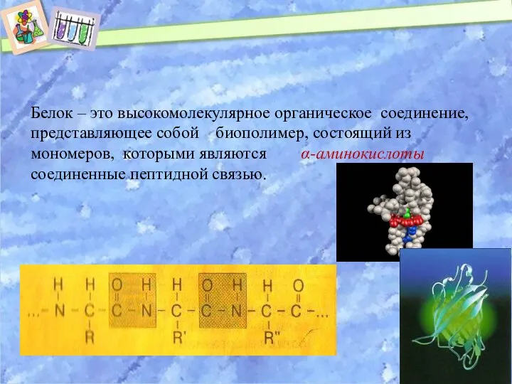 Белок – это высокомолекулярное органическое соединение, представляющее собой биополимер, состоящий из