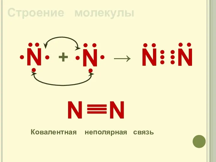 Строение молекулы N + → N Ковалентная неполярная связь