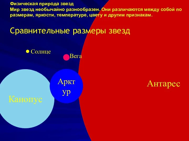 Антарес Сравнительные размеры звезд Канопус Арктур Солнце Вега Физическая природа звезд