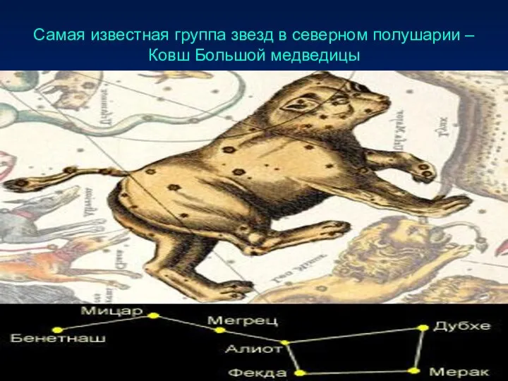 Самая известная группа звезд в северном полушарии – Ковш Большой медведицы