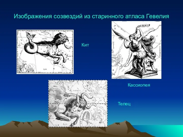 Изображения созвездий из старинного атласа Гевелия Телец Кит Кассиопея