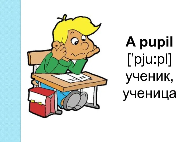 A pupil [’pju:pl] ученик, ученица