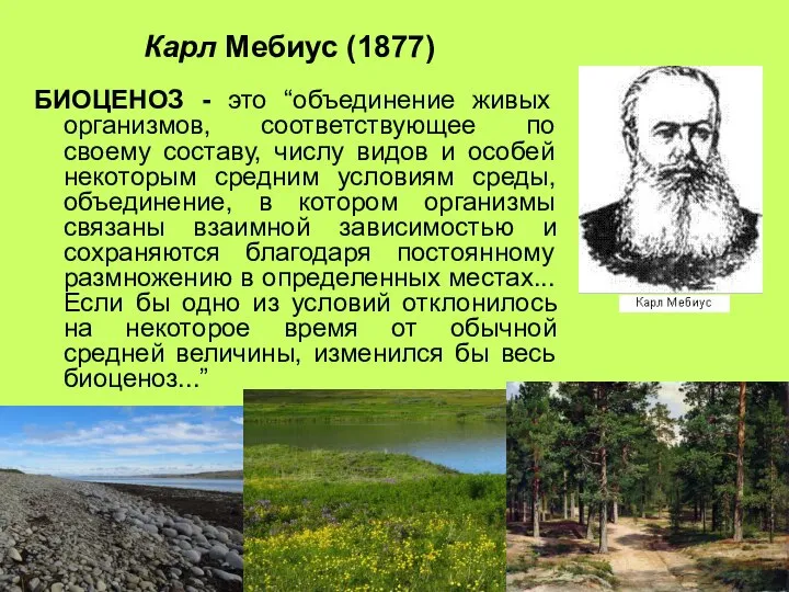 Карл Мебиус (1877) БИОЦЕНОЗ - это “объединение живых организмов, соответствующее по