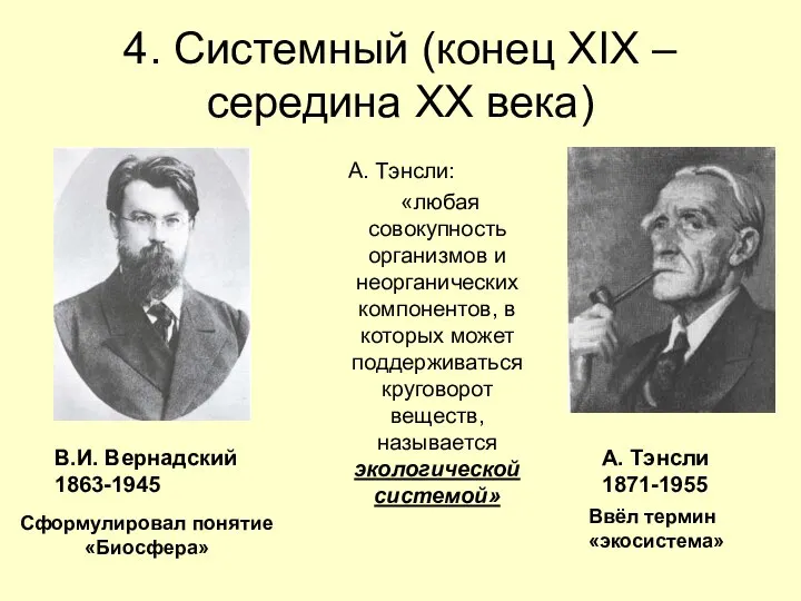 4. Системный (конец XIX – середина XX века)