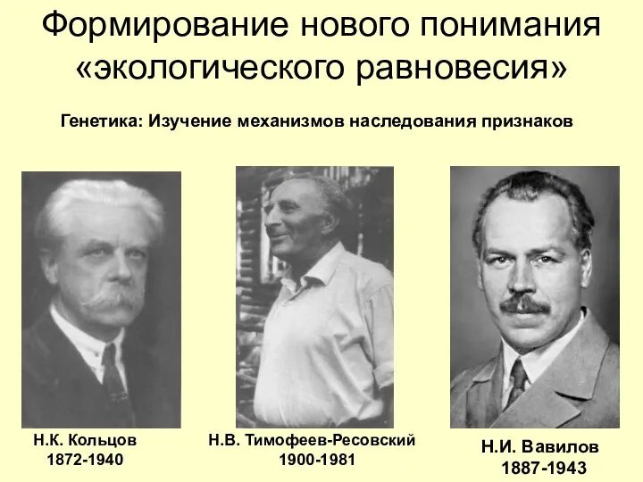 Формирование нового понимания «экологического равновесия»