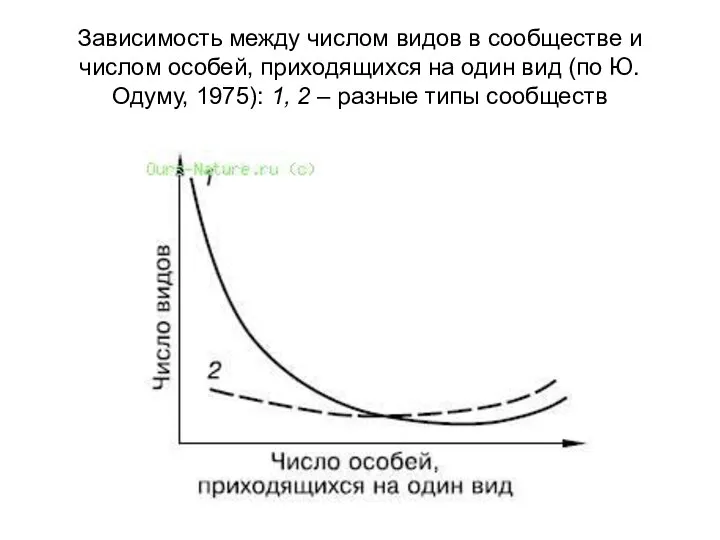 Зависимость между числом видов в сообществе и числом особей, приходящихся на