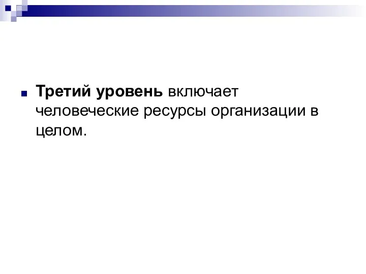 Третий уровень включает человеческие ресурсы организации в целом.