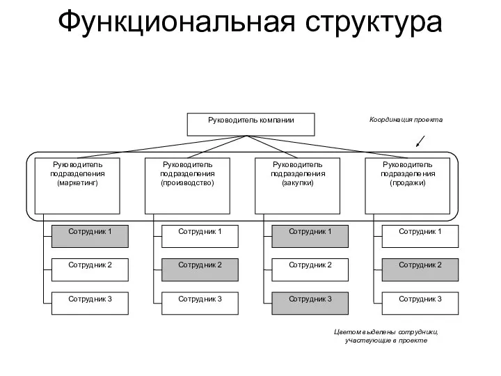 Функциональная структура