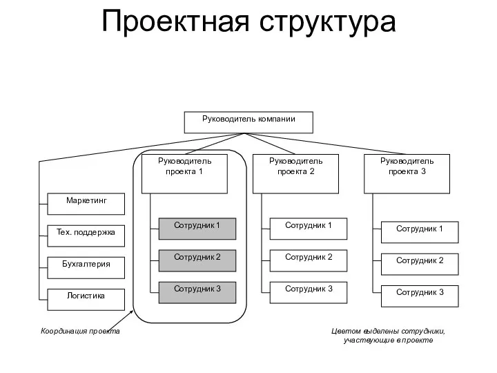 Проектная структура