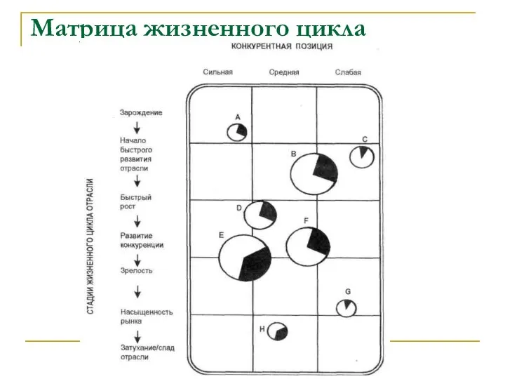 Матрица жизненного цикла