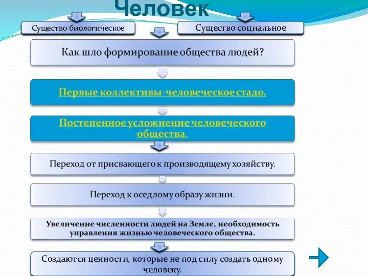 Человек Создаются ценности, которые не под силу создать одному человеку. Существо биологическое Существо социальное