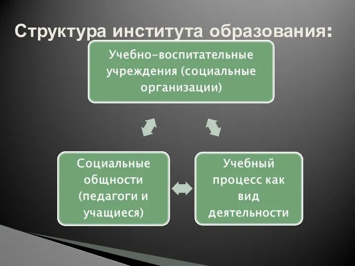 Структура института образования: