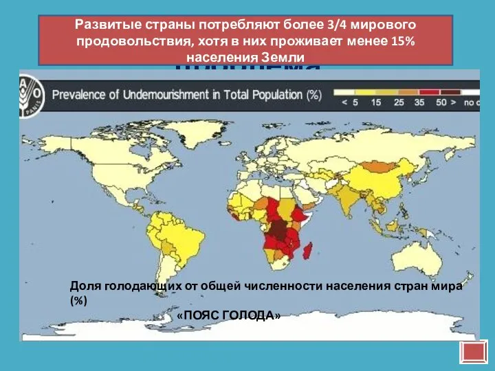 Продовольственная проблема Развитые страны потребляют более 3/4 мирового продовольствия, хотя в