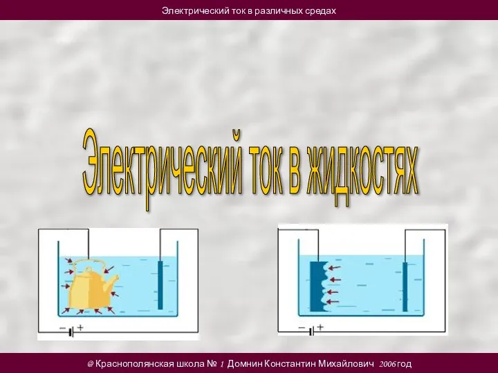 @ Краснополянская школа № 1 Домнин Константин Михайлович 2006 год Электрический