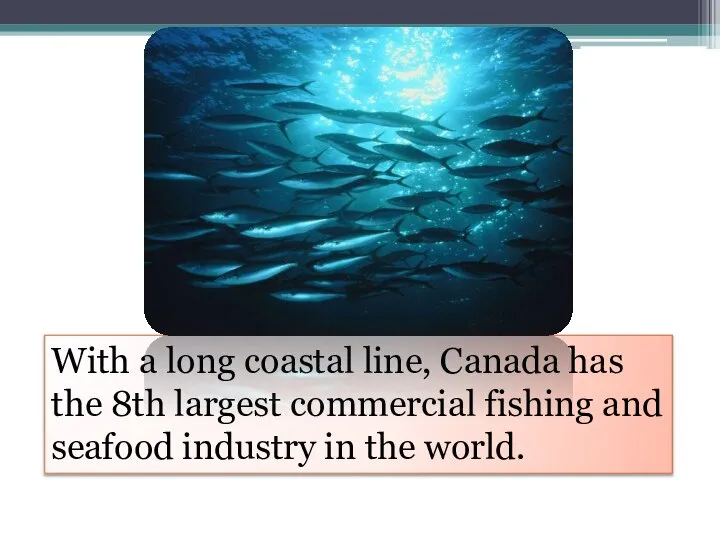 With a long coastal line, Canada has the 8th largest commercial