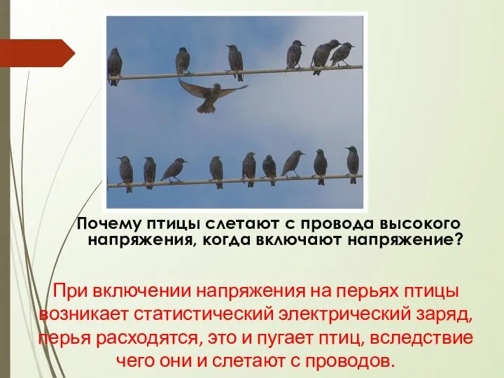 Почему птицы слетают с провода высокого напряжения, когда включают напряжение? При