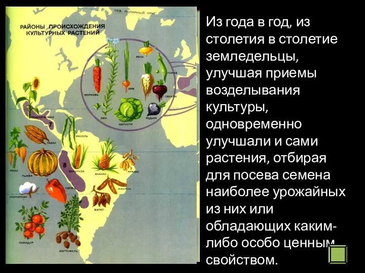 Из года в год, из столетия в столетие земледельцы, улучшая приемы