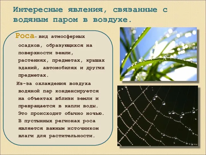 Интересные явления, связанные с водяным паром в воздухе. Роса— вид атмосферных