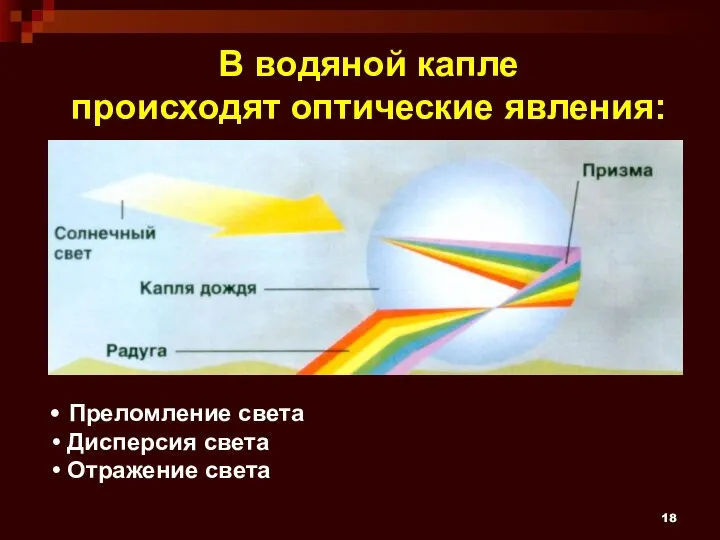 В водяной капле происходят оптические явления: Преломление света Дисперсия света Отражение света