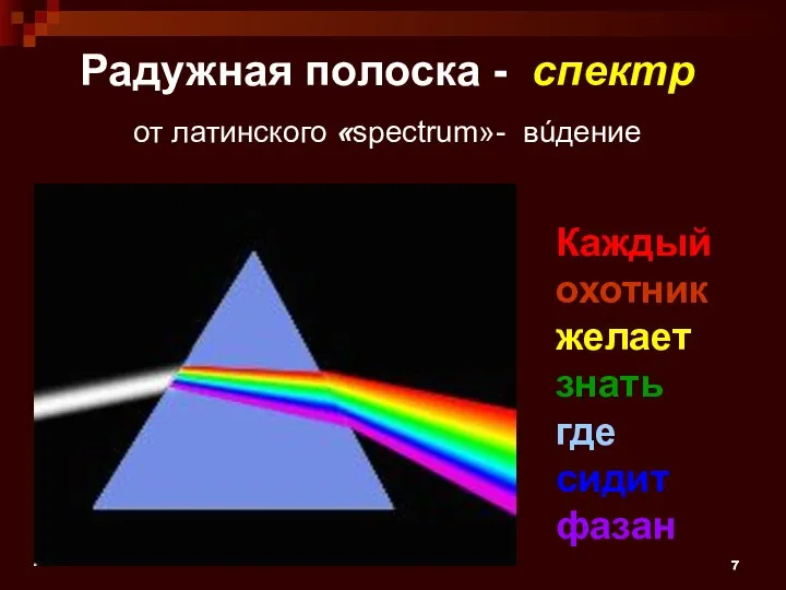 Радужная полоска - спектр от латинского «spectrum»- вúдение Каждый охотник желает знать где сидит фазан