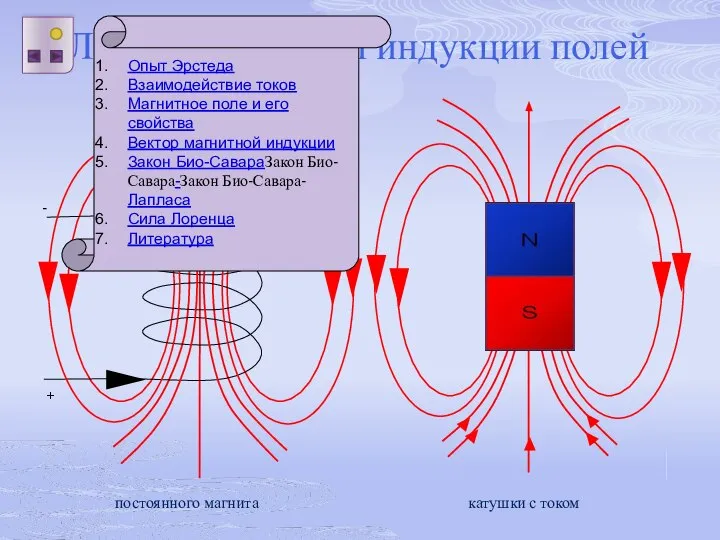 Линии магнитной индукции полей катушки с током постоянного магнита Опыт Эрстеда